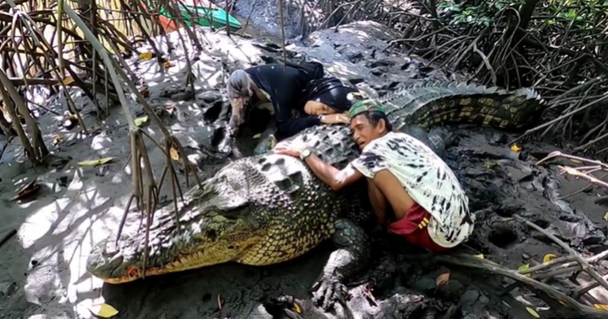 La bizzarra amicizia tra un pescatore e un coccodrillo di 4 metri [+VIDEO]