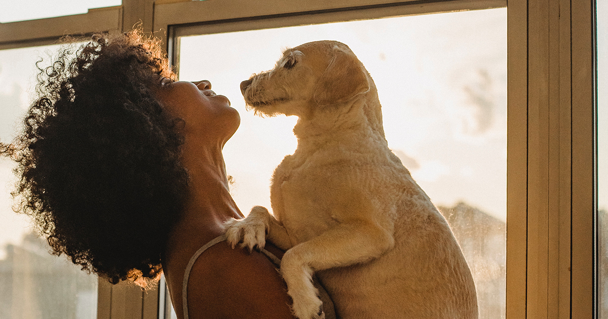 Mary: “Sono ‘mamma’ di un cane e lavoro, voglio gli stessi diritti delle mamme di bambini”