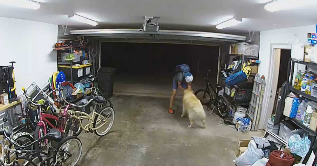Ruba una bici in garage: la reazione del cane da “guardia” è esilarante