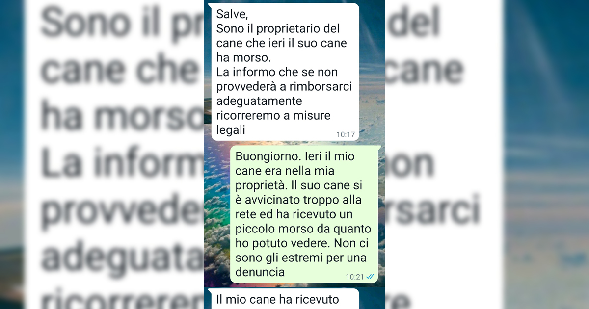 Come un figlio