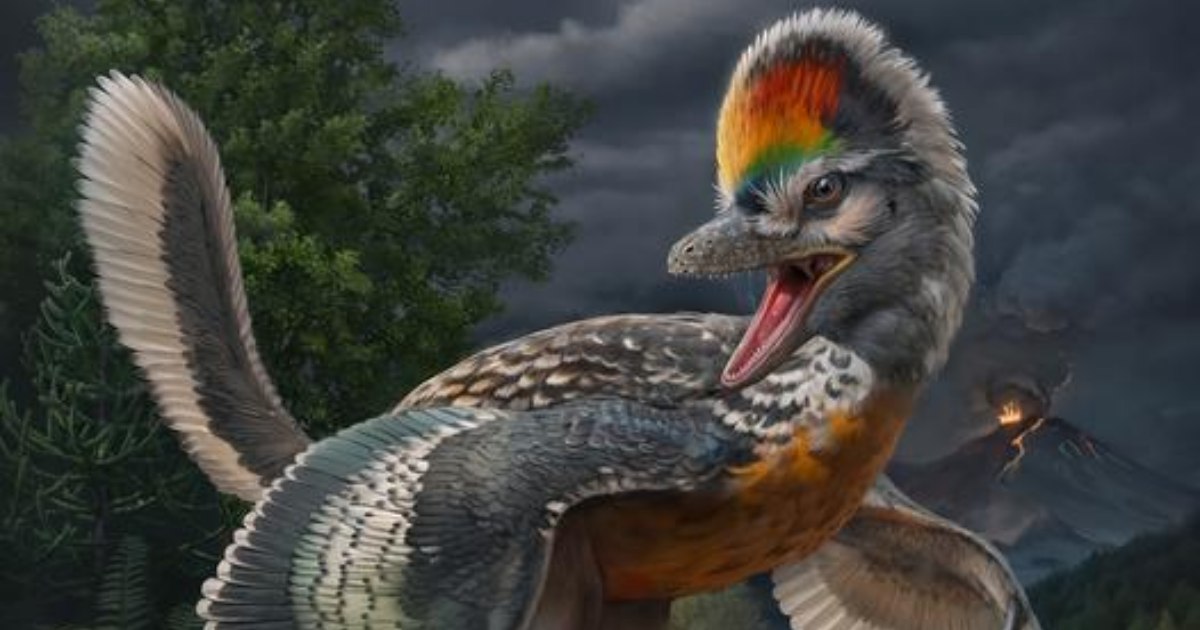 I paleontologi potrebbero aver trovato un ramo mancante tra dinosauri e uccelli