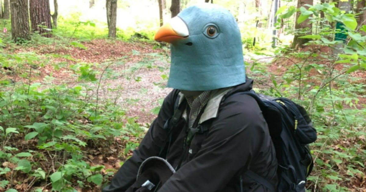 Scienziato indossa una testa di uccello gigante per fare amicizia con gli uccelli: com’è finita