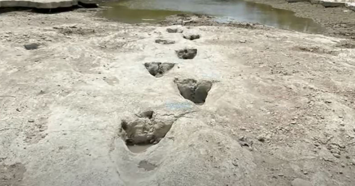 La siccità rivela 70 impronte di dinosauri