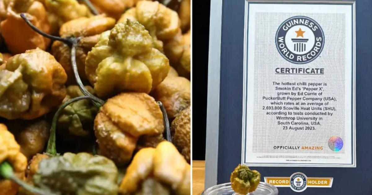 Il Pepper X è il peperoncino più piccante al mondo: surclassato il Carolina Reaper