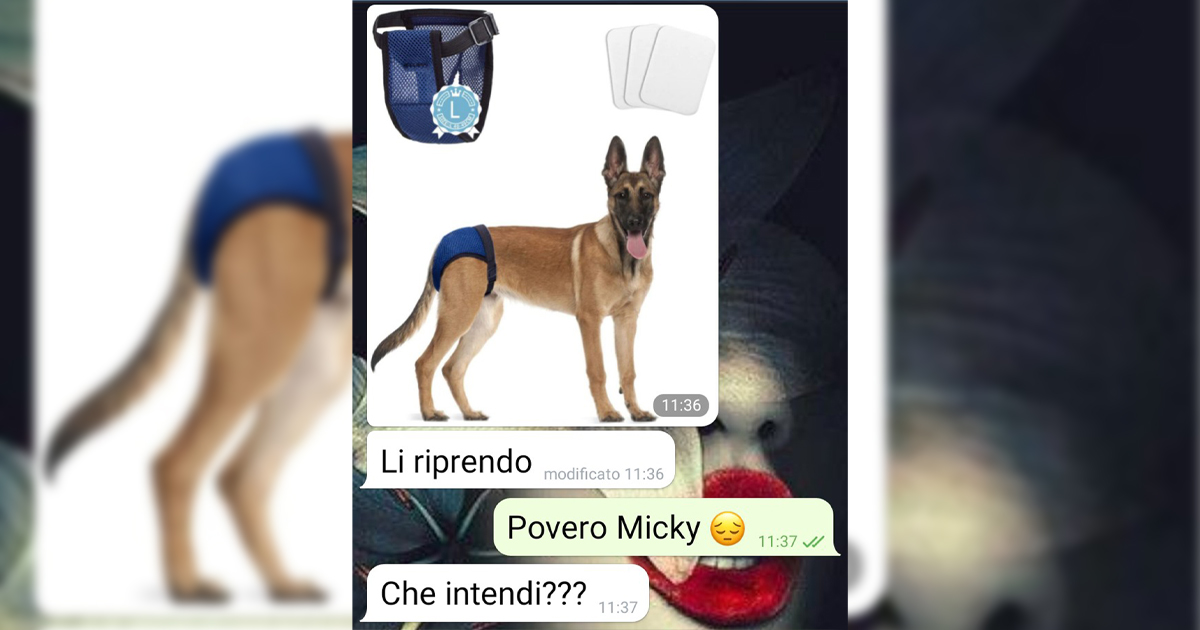 Lei e il suo cane