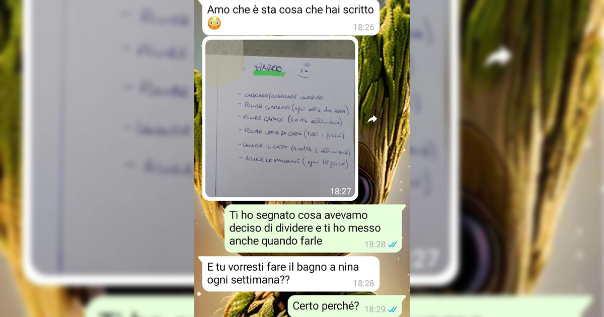 Gatti e convivenza