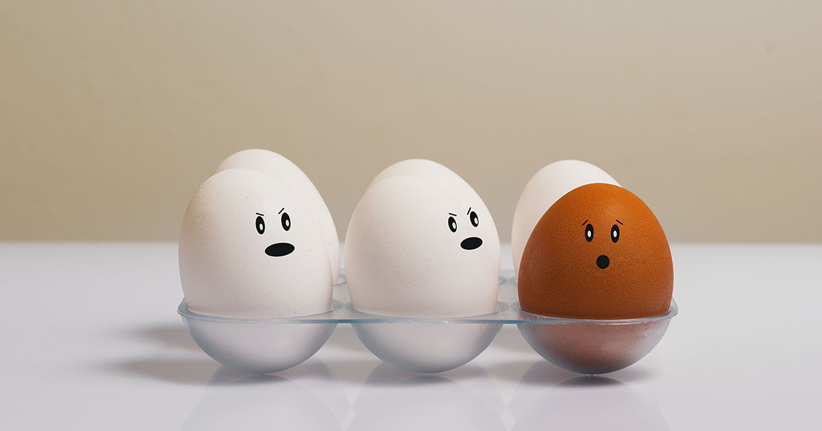 In cosa si differenziano le uova bianche da quelle marroni?