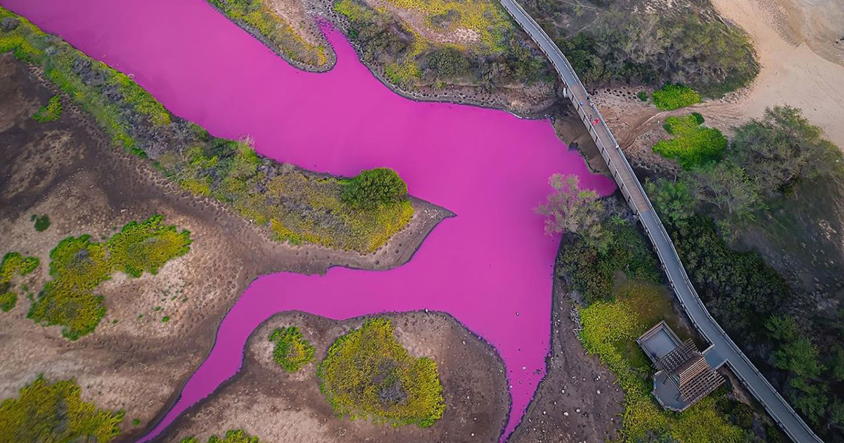 Il mistero del lago alle Hawaii diventato rosa [+VIDEO]