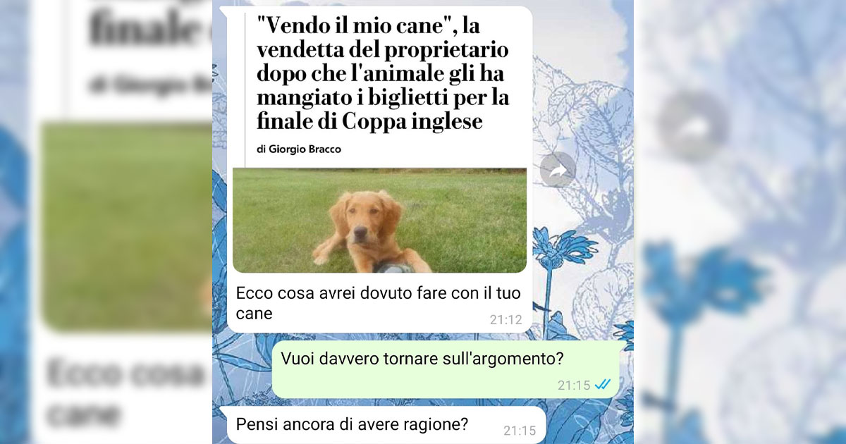 Problemi col cane