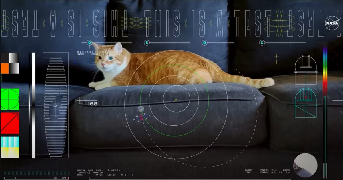Abbiamo ricevuto il video di un gatto trasmesso con il laser da 31 milioni di chilometri di distanza [+VIDEO]