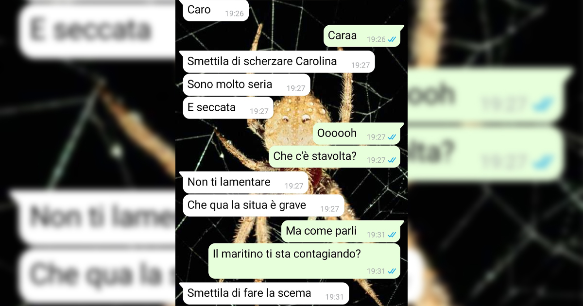 Il regalo di matrimonio insufficiente