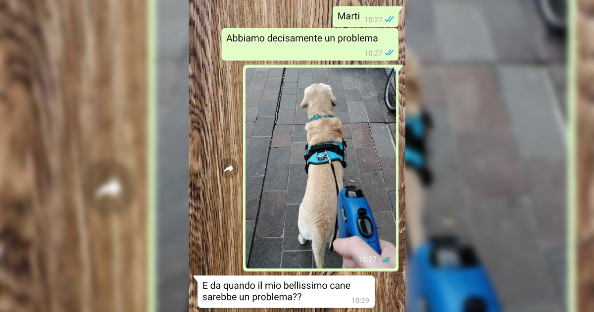 Il cane della sorella