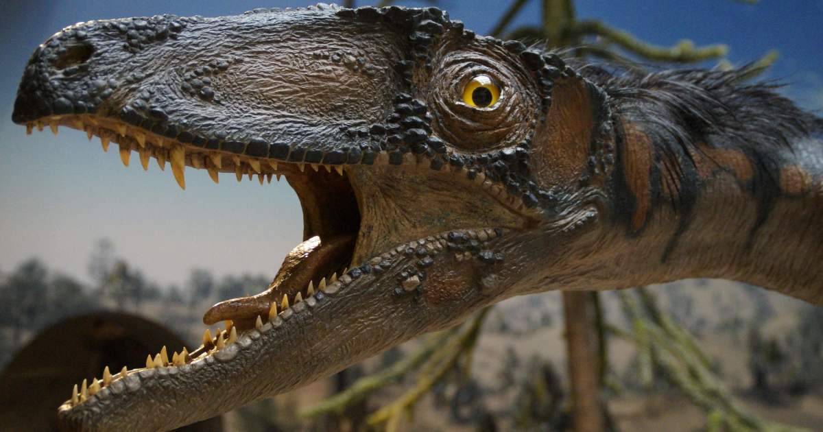 Dare nomi più “inclusivi” ai dinosauri: l’appello dei paleontologi che fa discutere