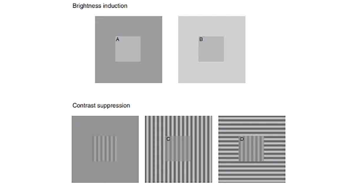 Questa illusione ottica rivela come la depressione può cambiare la nostra percezione