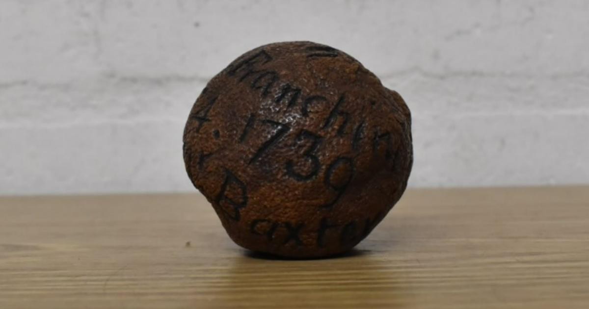 Questo limone di 285 anni è stato venduto all’asta ad un prezzo incredibile
