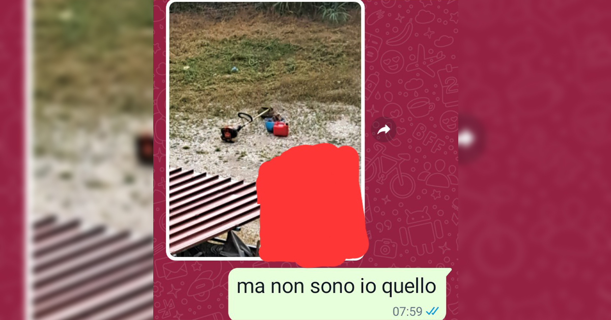 Colpevole o no
