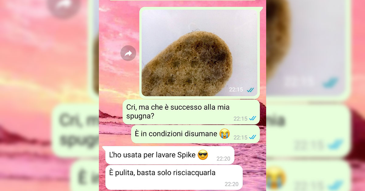 La spugna sporca