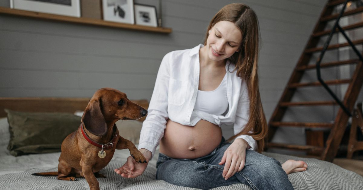 I cani capiscono quando la padrona è incinta?