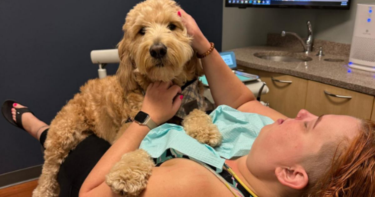 Hai paura del dentista? Questo adorabile cagnolino ti calmerà