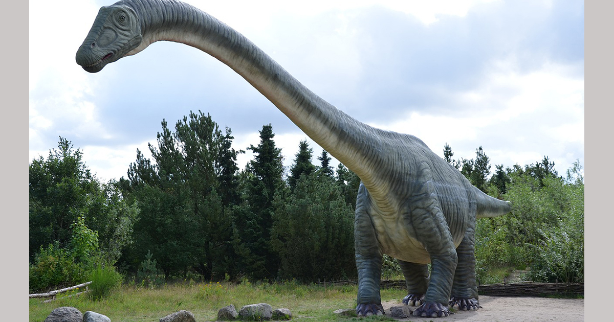 Porta a spasso il cane e trova uno scheletro di dinosauro di 70 milioni di anni fa [+VIDEO]