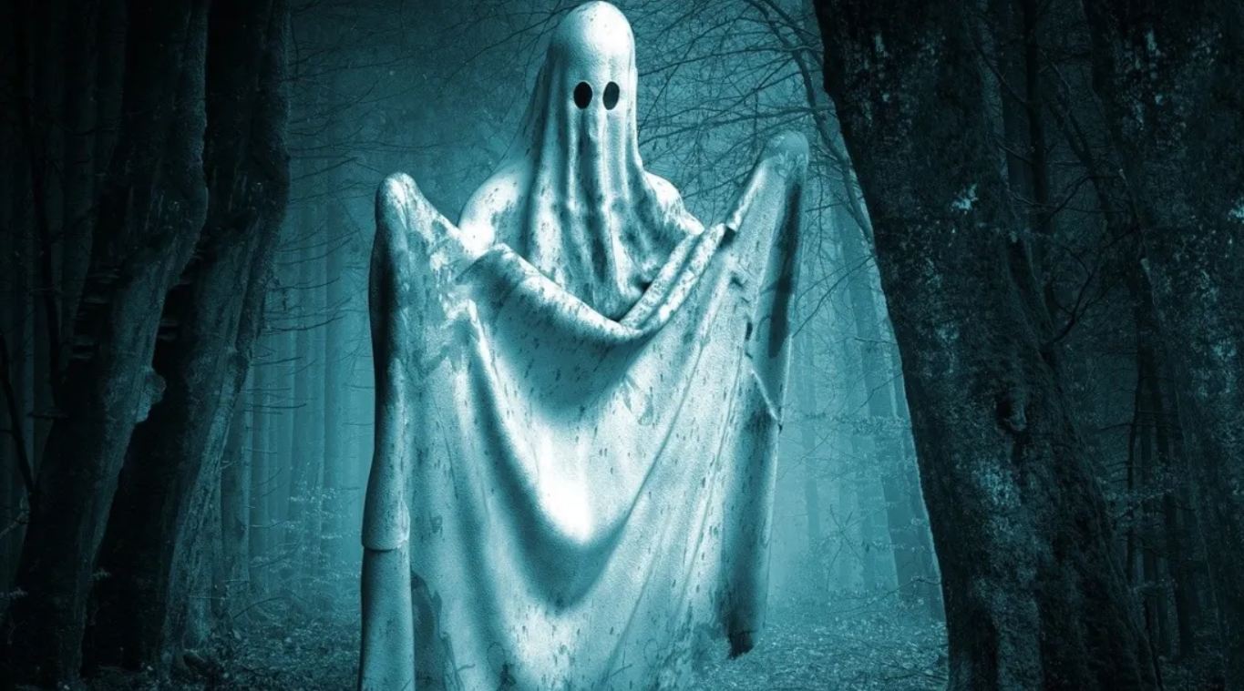 Perseguitata da un fantasma per un anno intero, decide di diventare cacciatrice di spiriti
