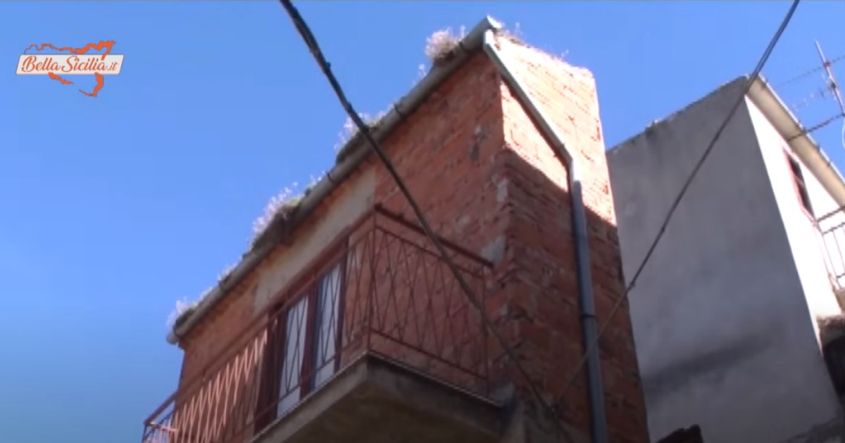 La casa più stretta del mondo è stata costruita per dispetto (ed è in Italia) [+VIDEO]
