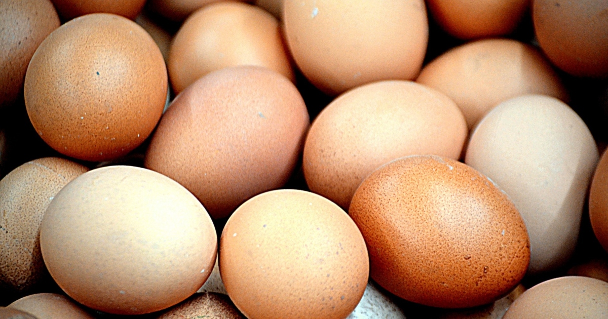 Trovato un uovo di 1.700 anni ancora pieno di liquido al suo interno