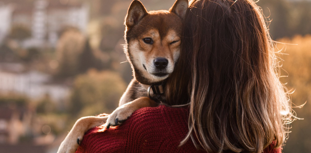 I cani sono spesso stressati dagli abbracci degli umani