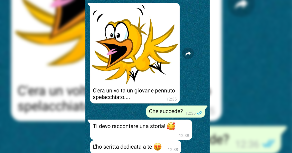 La storia del pennuto