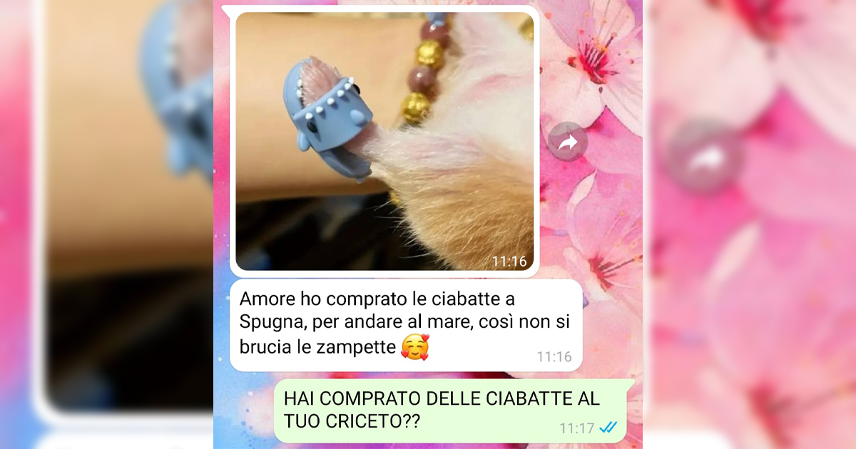 Gli indumenti del criceto
