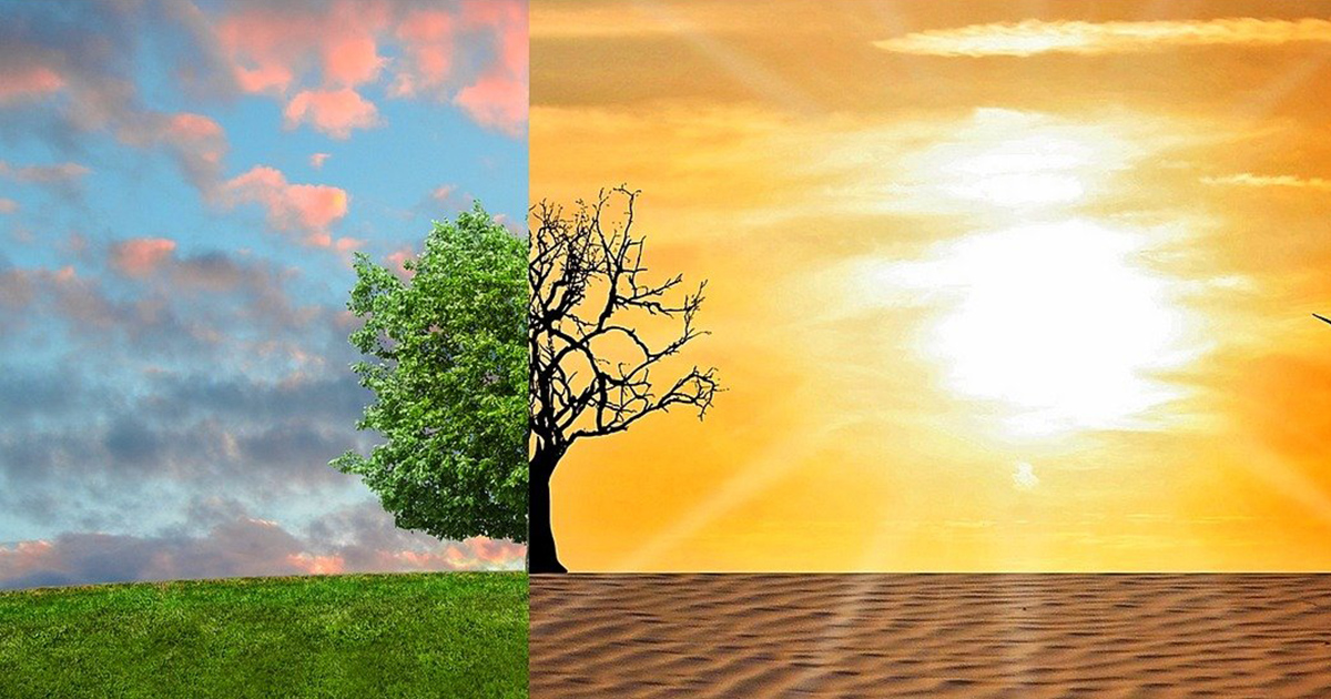 Una mappa interattiva ti dice come sarà il clima nella tua zona nel 2080