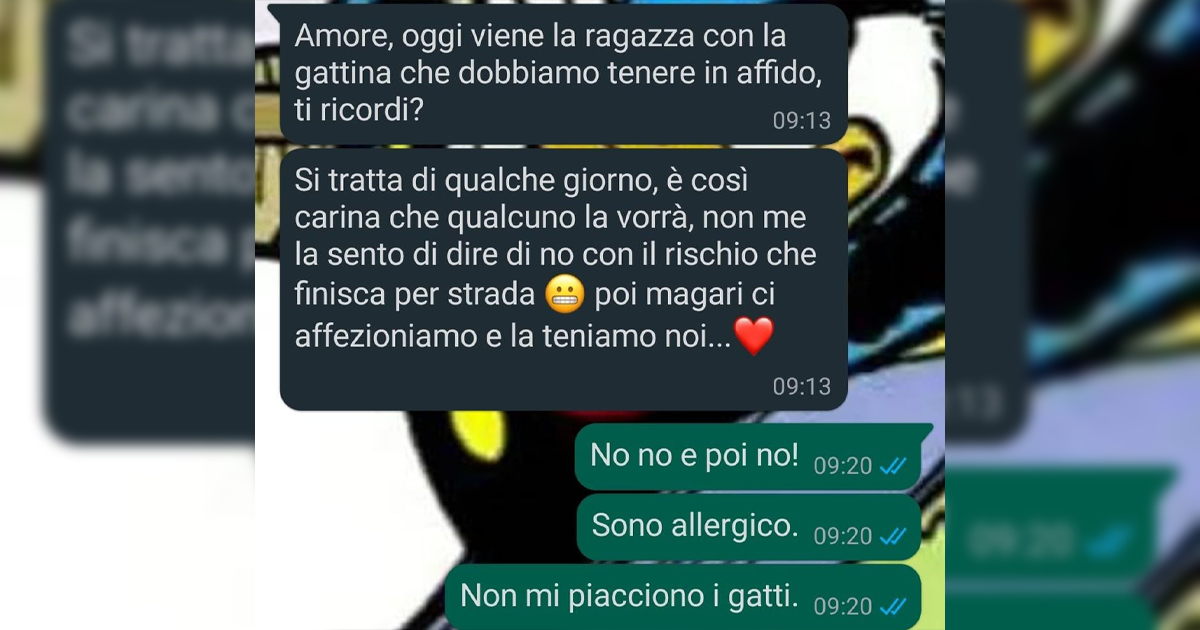 Animali no, grazie
