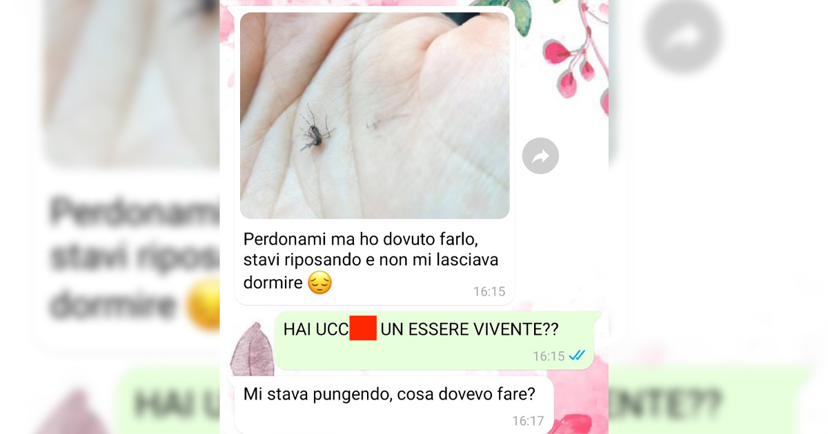 I cuccioli di zanzara