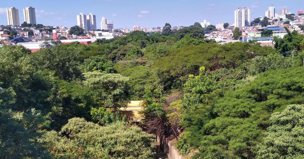 Pianta 40.000 alberi in due decenni per trasformare un’area degradata in un’oasi verde