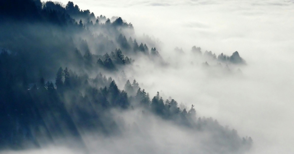 Tecnica della nebbia: come può aiutarti contro chi vuole manipolarti
