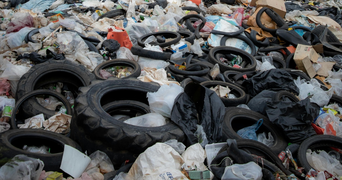 Anche l’IA inquina: il suo impatto ambientale è disastroso