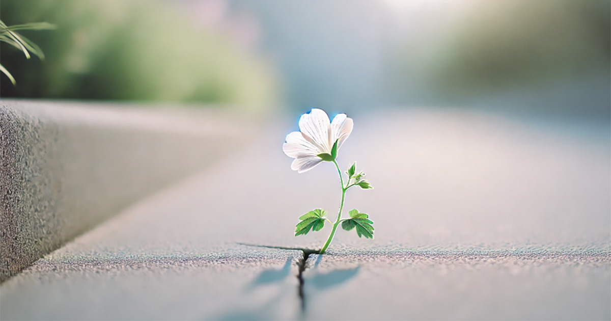 Le 5 caratteristiche delle persone resilienti