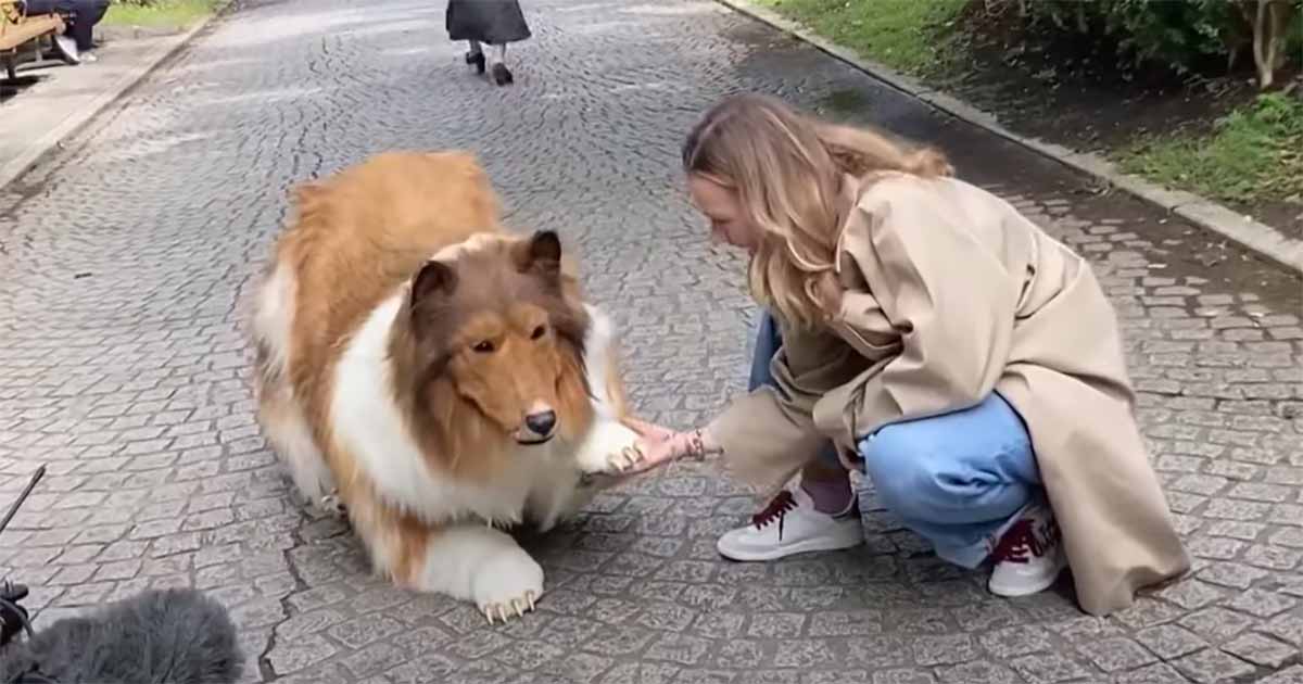 Tocotoco, lo zoo in Giappone dove ognuno può travestirsi da animale [+VIDEO]