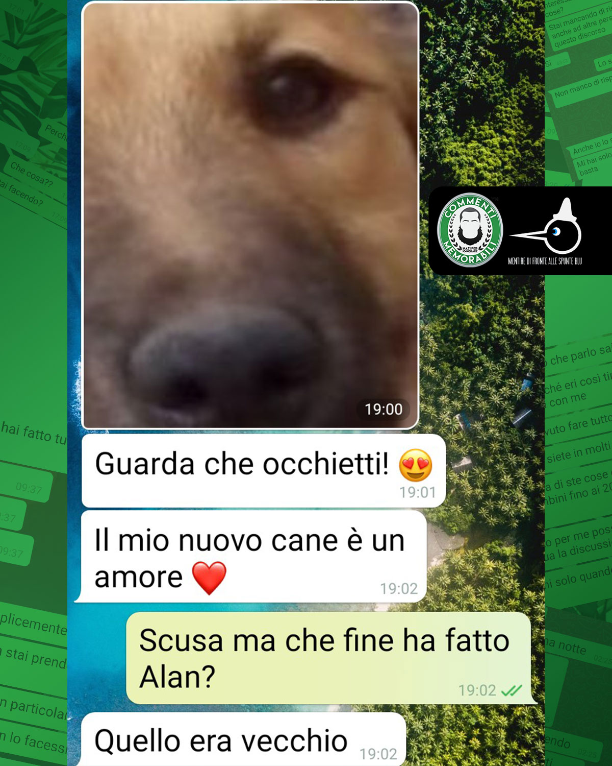 Il cane nuovo