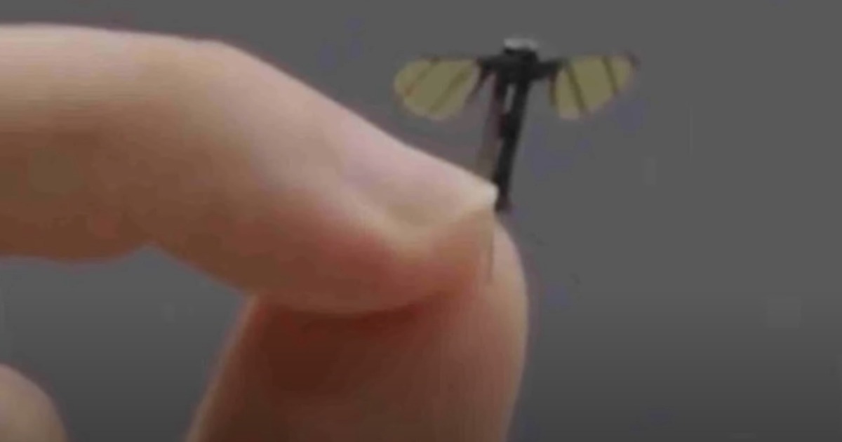 Questo drone di sorveglianza ha le dimensioni di una zanzara