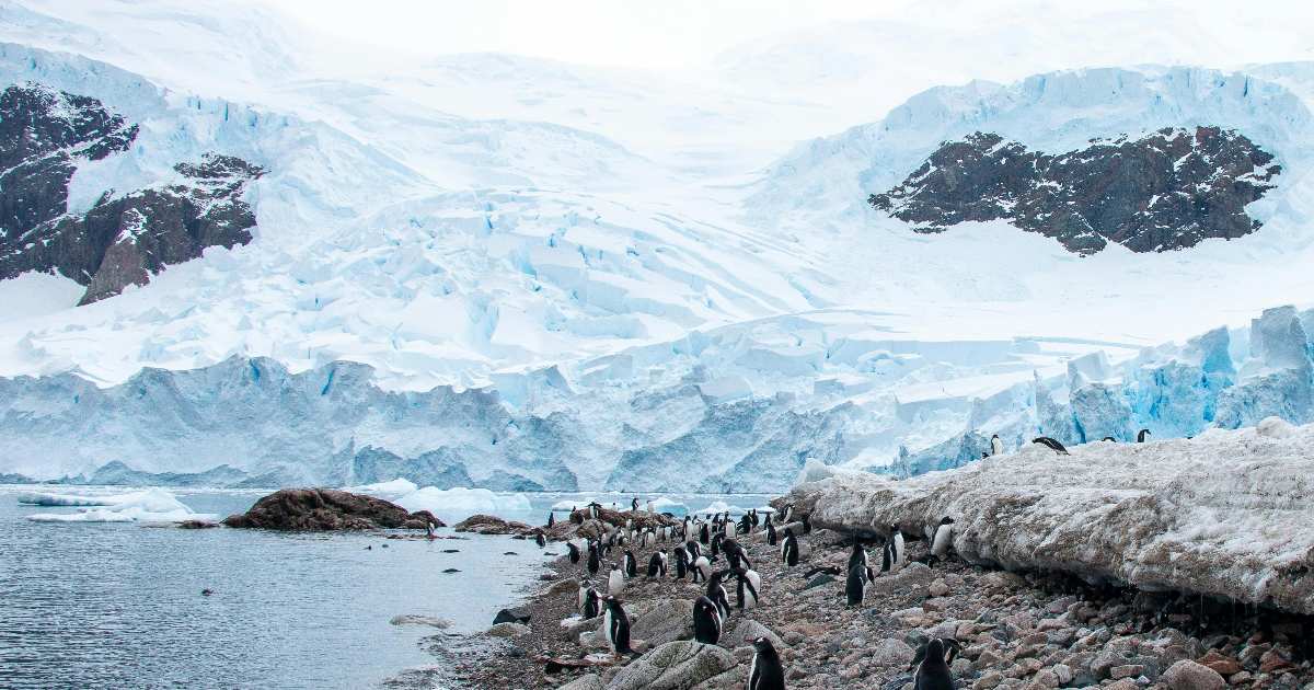 L’oceano dell’Antartide sta diventando misteriosamente più salato