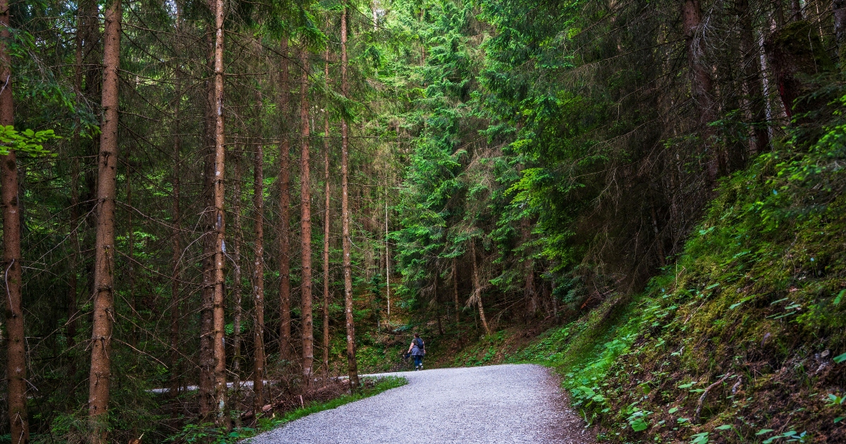 Camminata giapponese: tutti i benefici per corpo e mente