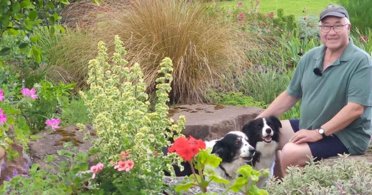 Trasforma il suo giardino in un’oasi botanica: ci sono specie da ogni parte del mondo affinché sia sempre fiorito [+FOTO]