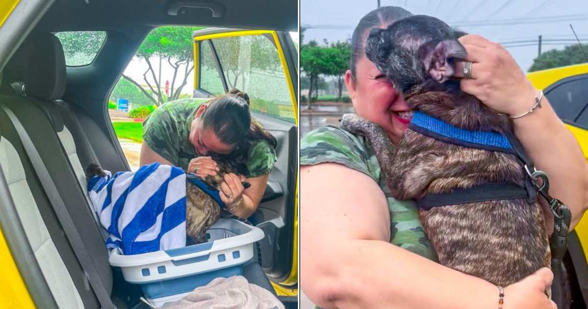 Scomparsa nell’uragano Harvey, Blue viene ritrovata dopo 8 anni