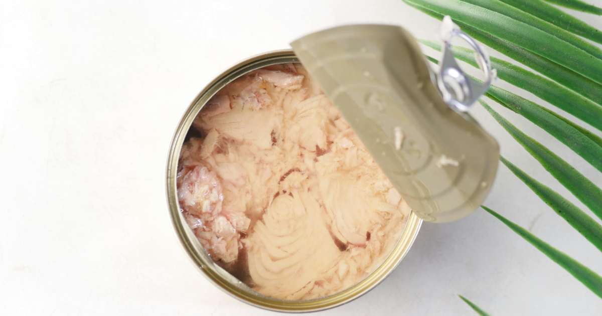 Mangi tonno in scatola? Perché dovresti sempre buttare l’olio