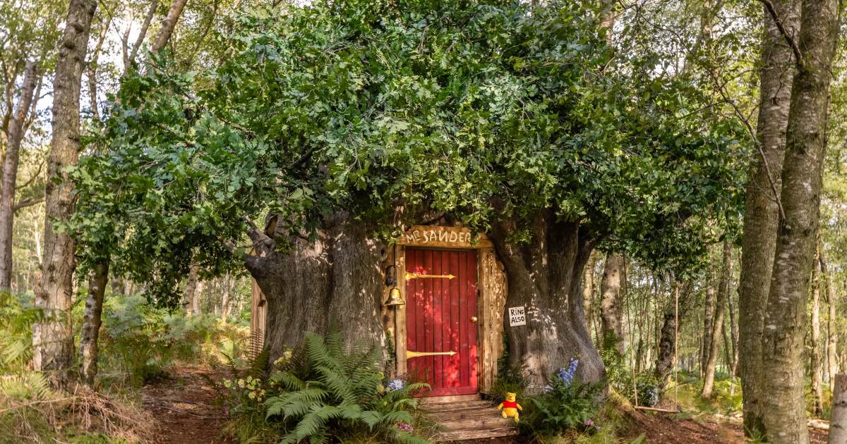 Dormire nella casa di Winnie The Pooh: il sogno dei fan diventa realtà