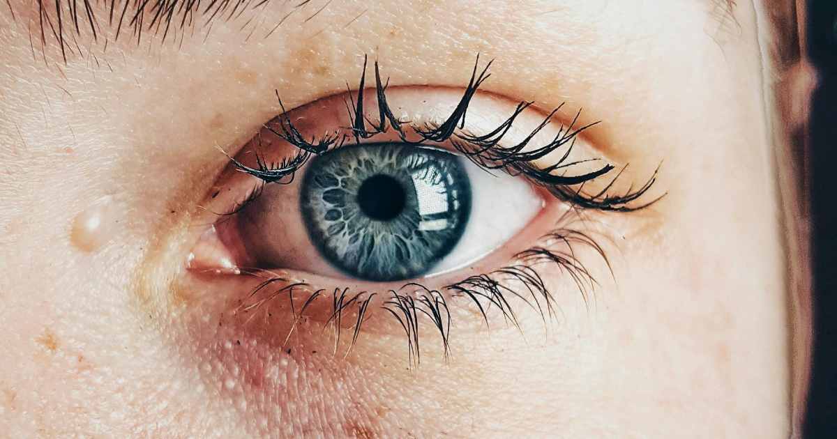 Quanti sensi abbiamo davvero? Altro che 5: la Scienza ne conta fino a 33