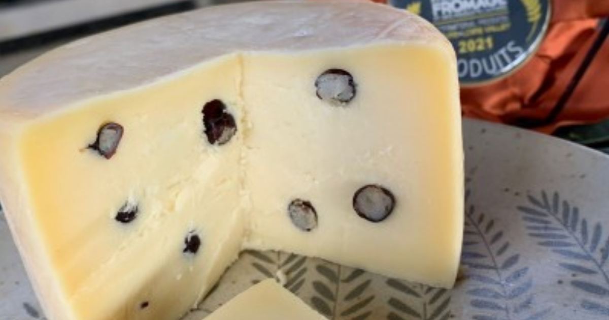 Formaggio alle formiche: il bizzarro successo del Taiada Silvania conquista il mondo