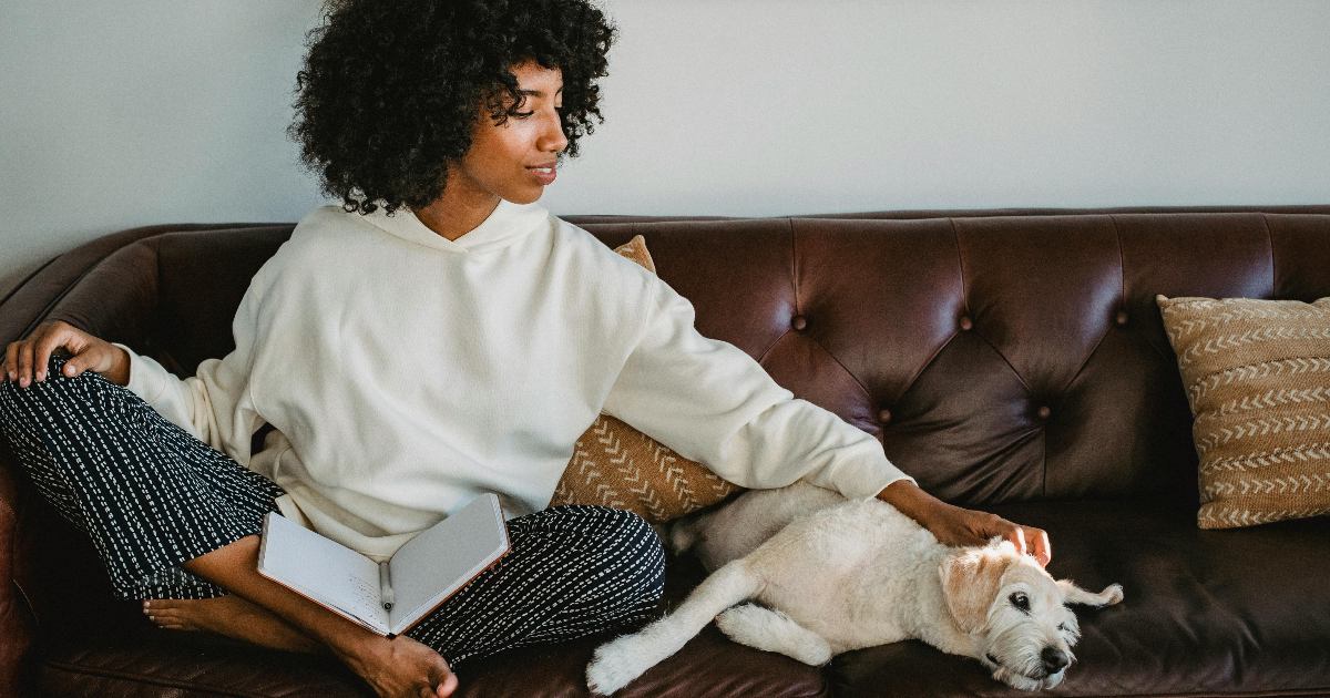 Stress da università? Accarezzare un cane è la soluzione che fa per te
