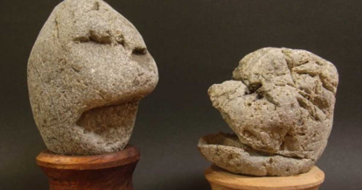 Chinsekikan: lo strano museo giapponese dove le pietre con volti umani ti fissano